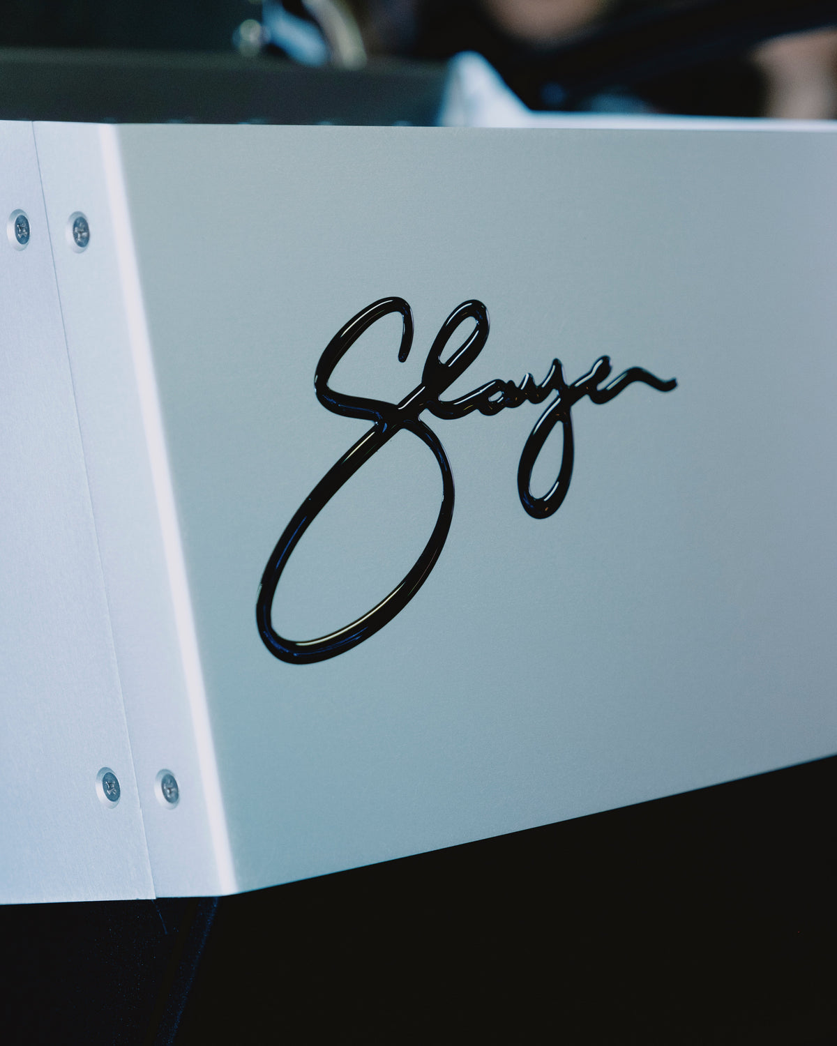 Slayer Steam Single — product view 2